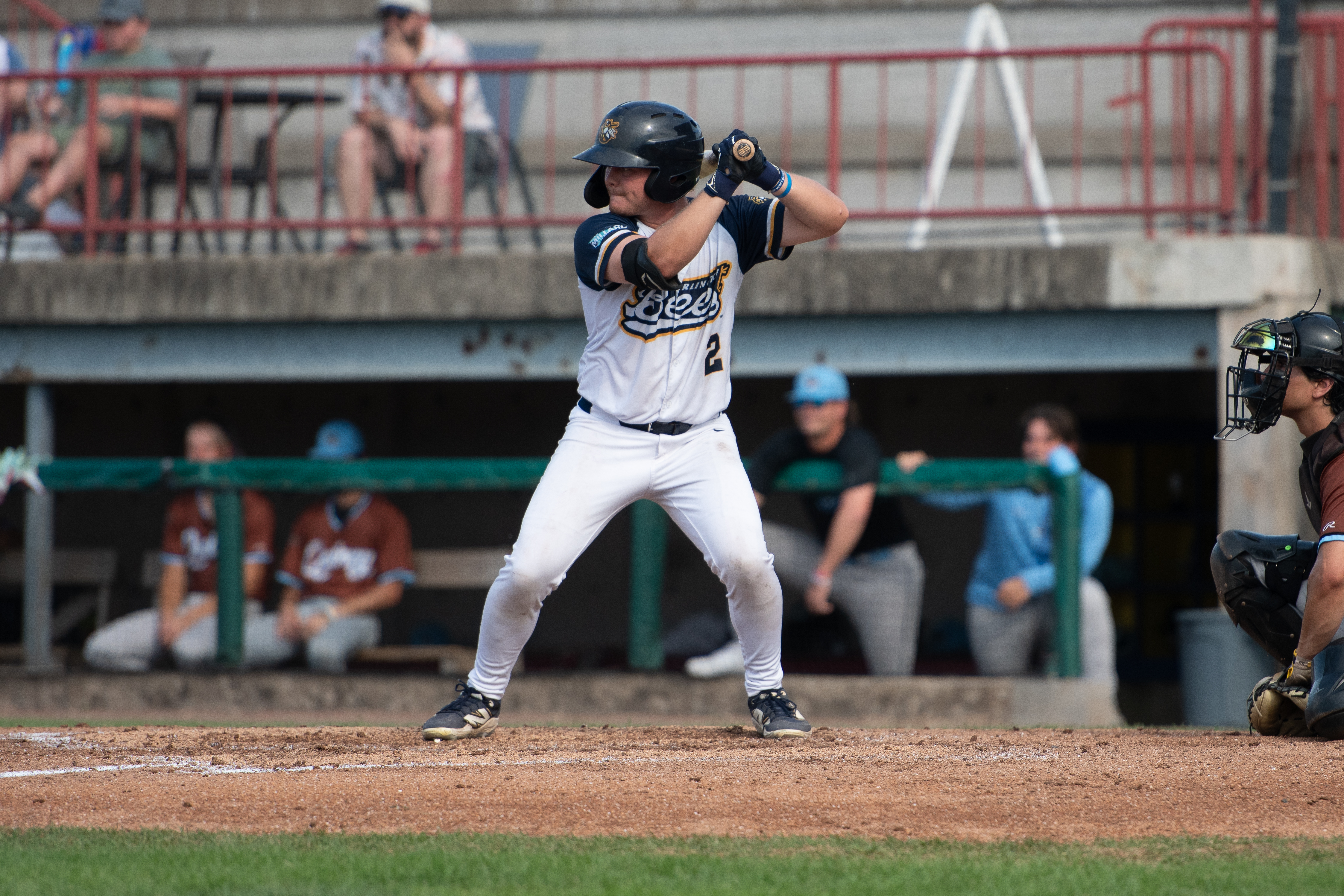 Bees Bullpen Dominates in Win Over Paddlers