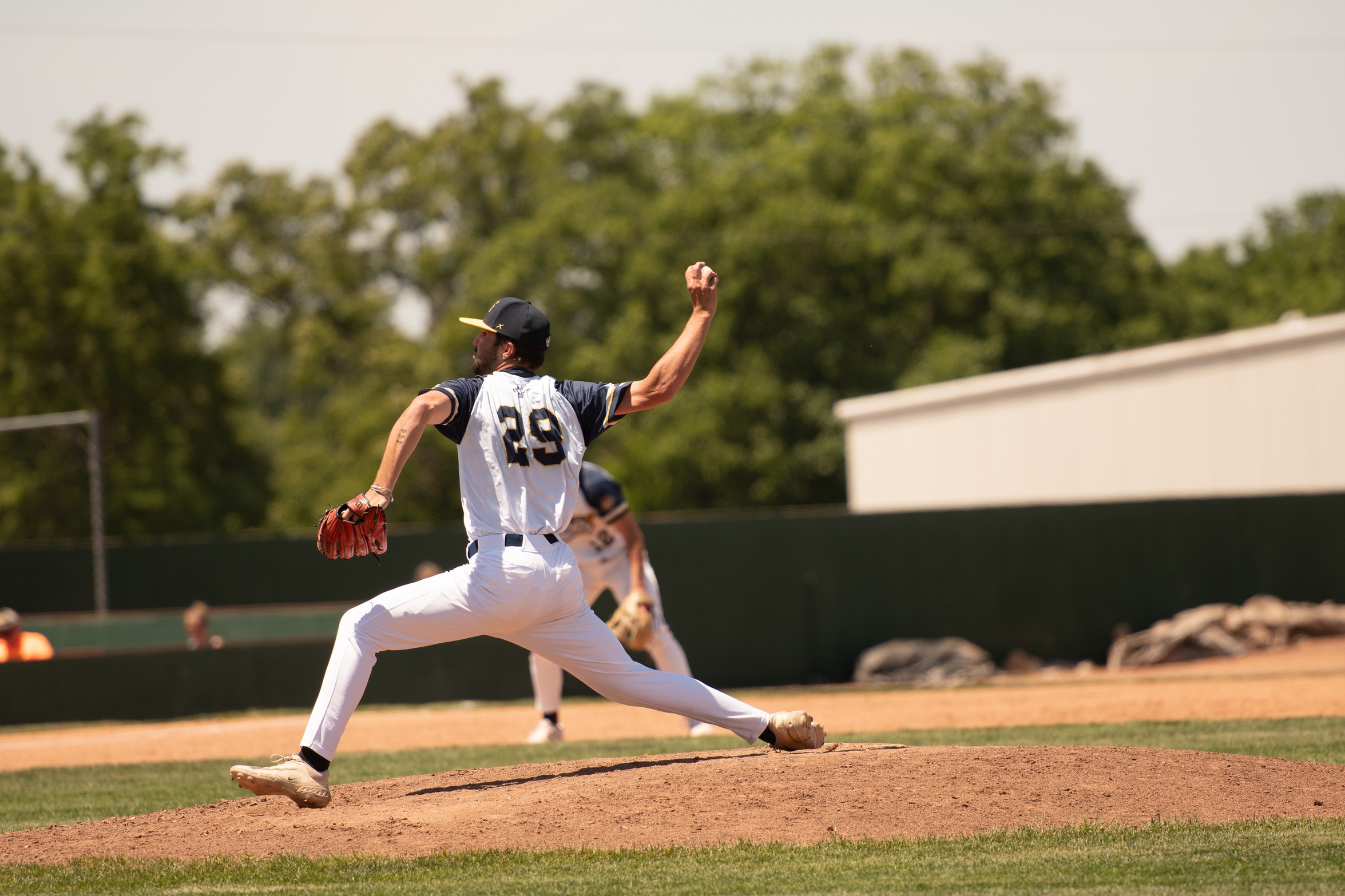 Bees Storm Back to Stun LumberKings