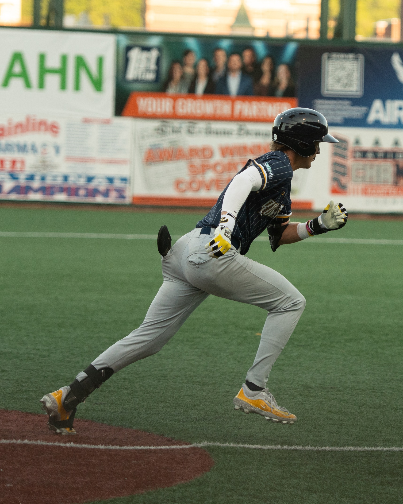 Bees Swept by Half Trax